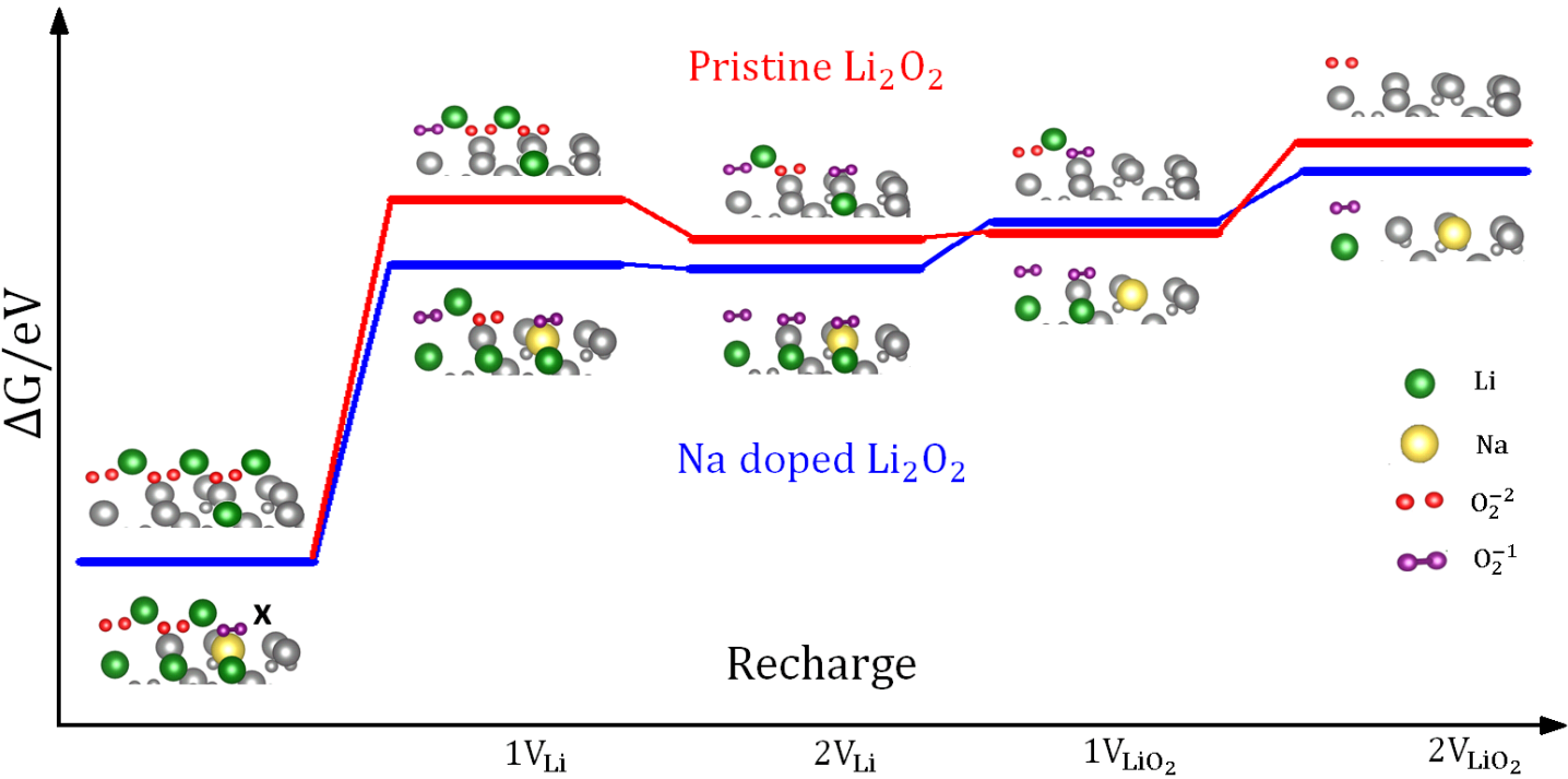 Understanding the Effect of Doping on the Charging Performance of Li-O₂ Batteries: The Role of Hole Polarons and Lithium Vacancies