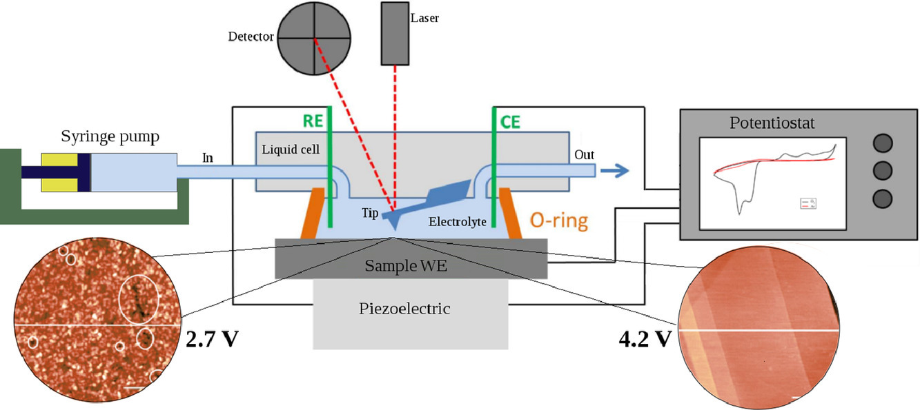 In-situ characterization of discharge products of lithium-oxygen battery using Flow Electrochemical Atomic Force Microscopy