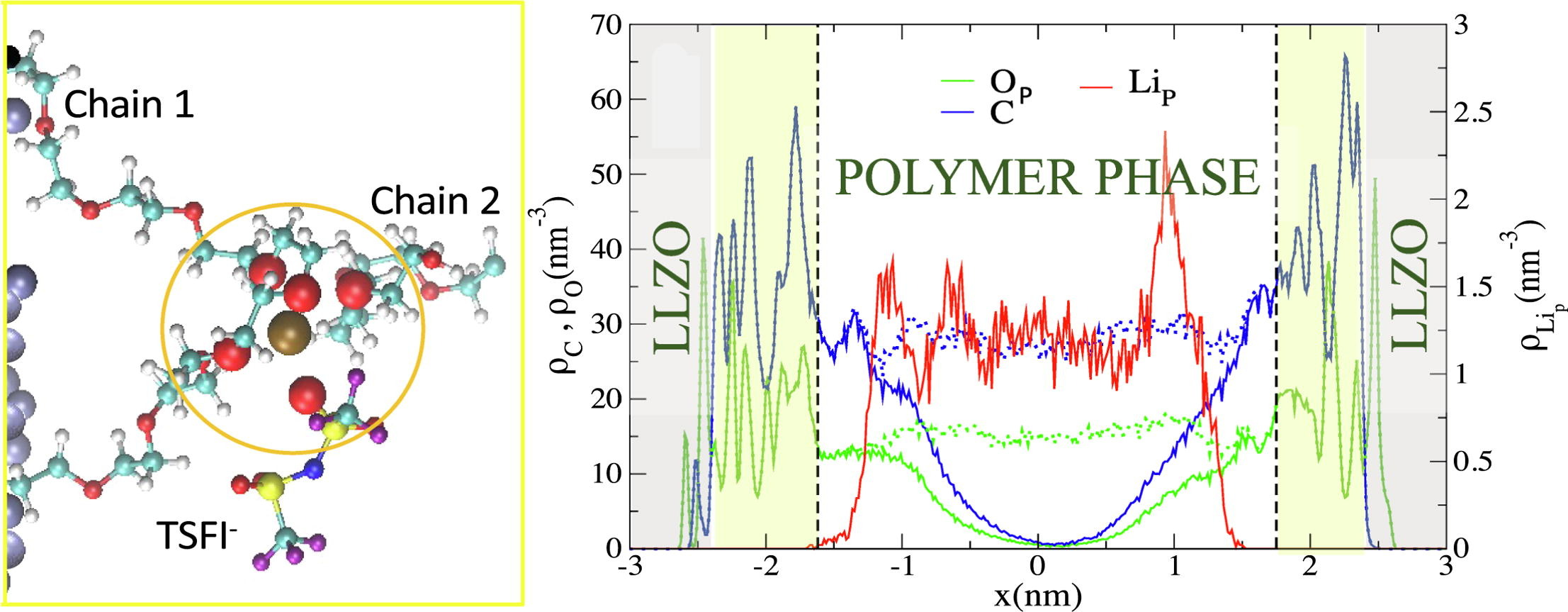 On the interfacial lithium dynamics in Li₇La₃Zr₂O₁₂:poly(ethylene oxide)(LiTFSI) composite polymer-ceramic solid electrolytes under strong polymer phase confinement