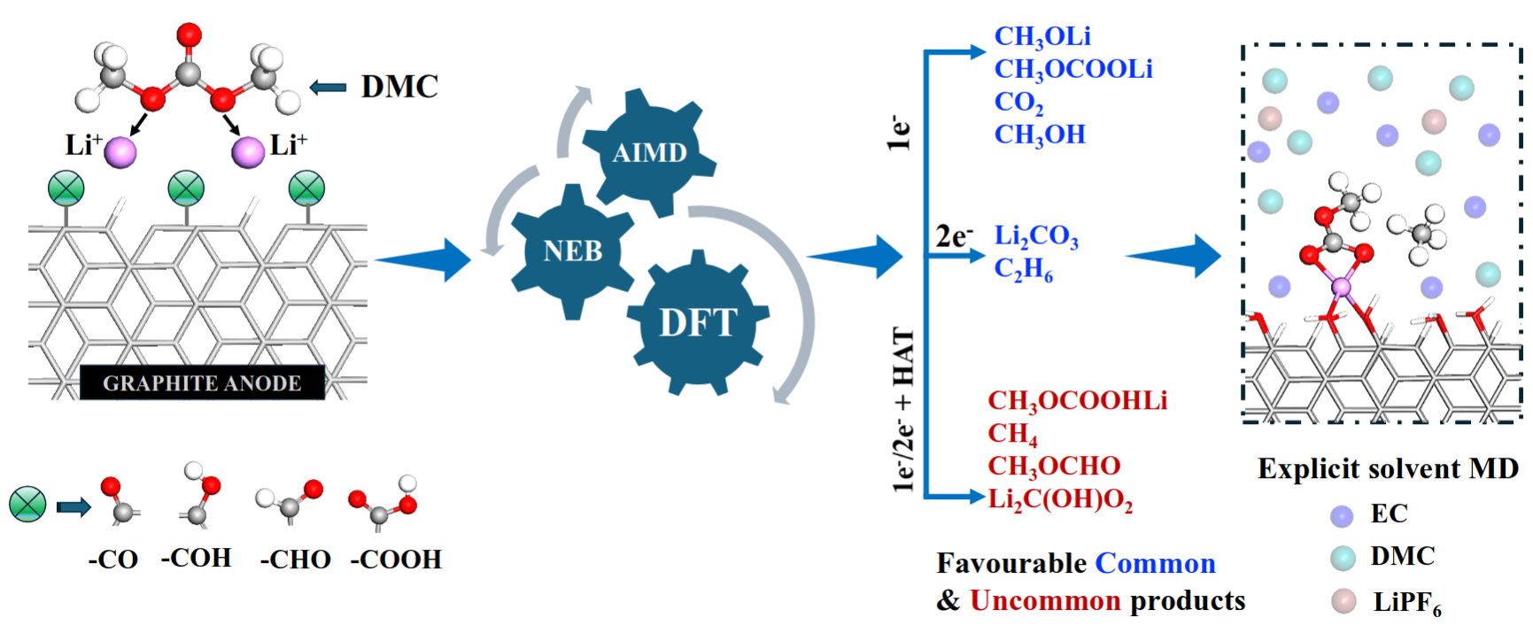 DMC matters: the role of dimethyl carbonate in SEI formation on oxygen functionalized anodes