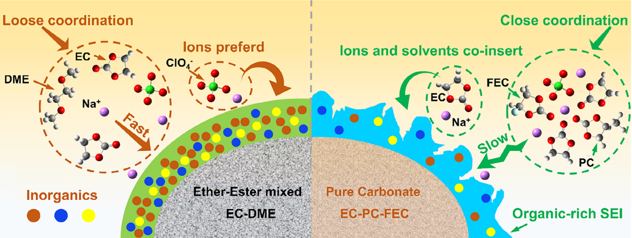 Interfacial Atomistic Evolution in Sodium-Ion Battery using a Graph-Theoretic Approach